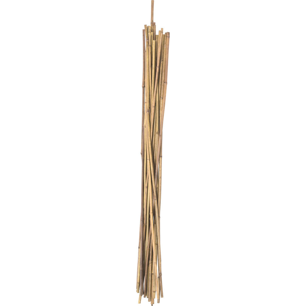Natural Packaged Bamboo Stakes (5 FT-12 PK)