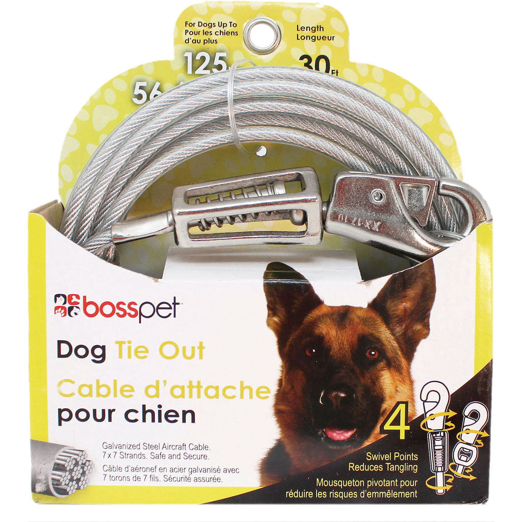 Boss Pet Tie-Out W/ Spring (30 FT) [009147]