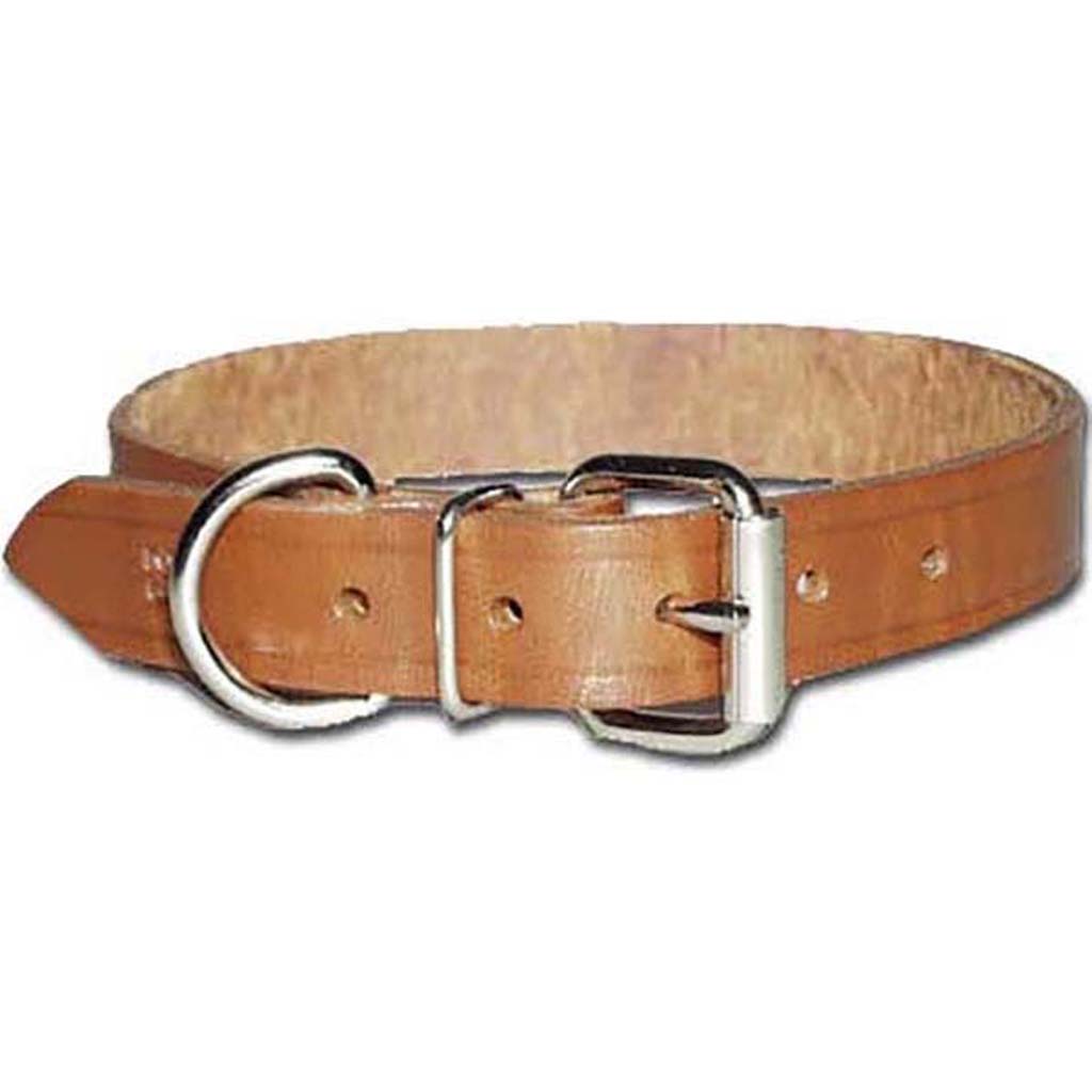 Omnipet Regular Bully Leather Collar (BROWN, 1 X 25 IN)