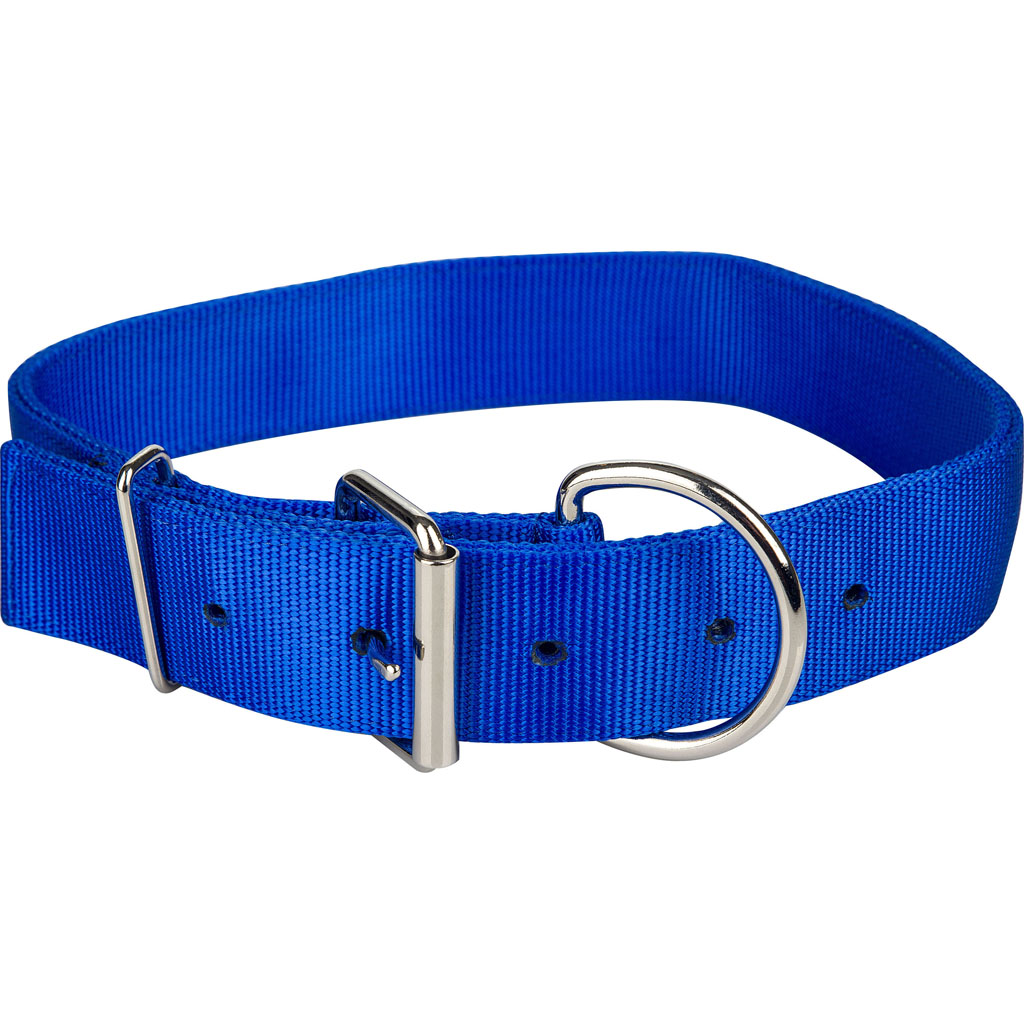 Gatsby Nylon Cattle Collar (BLUE, 1.75 X 44 IN)