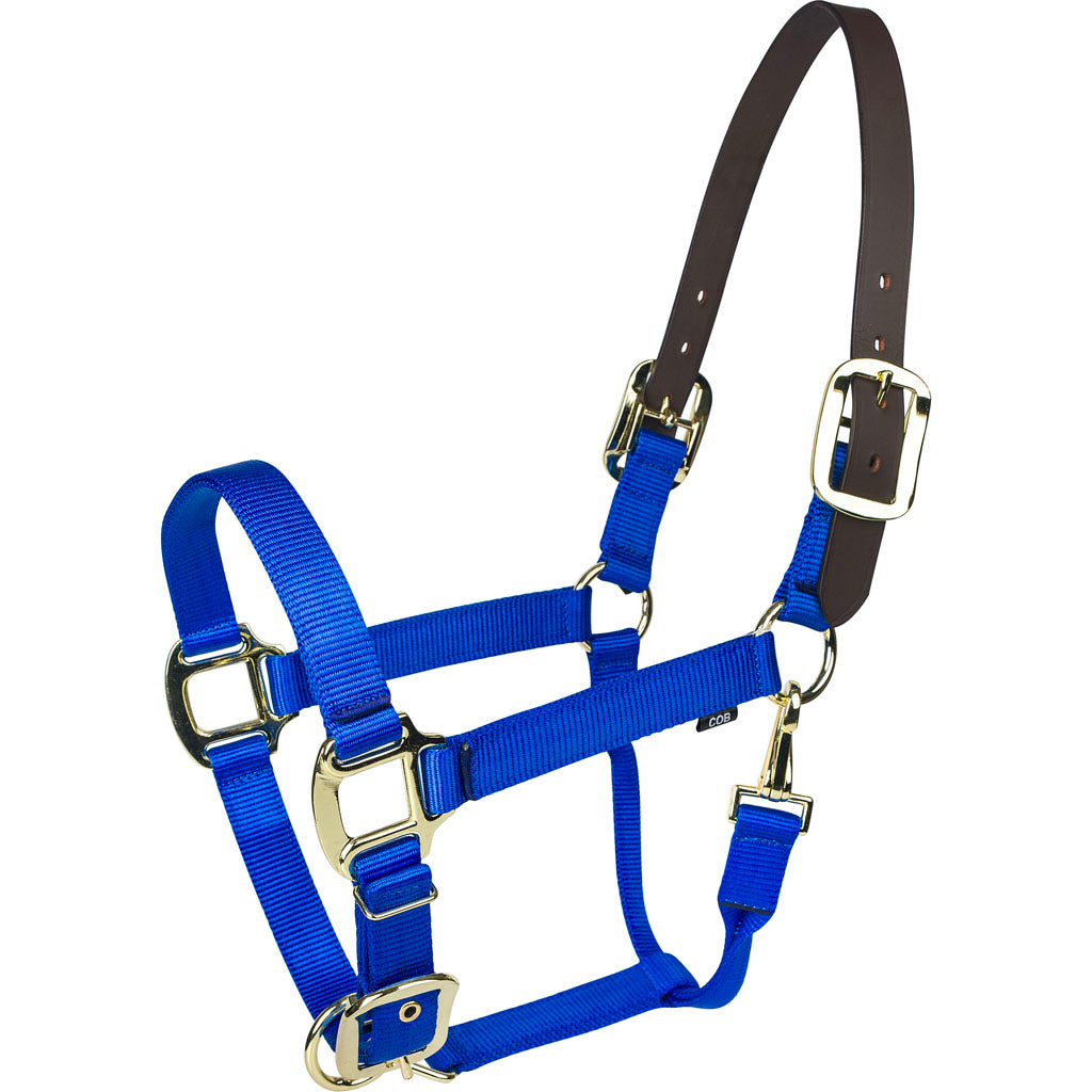 Gatsby Gold Nylon Breakaway Halter (BLUE, OVERSIZE)