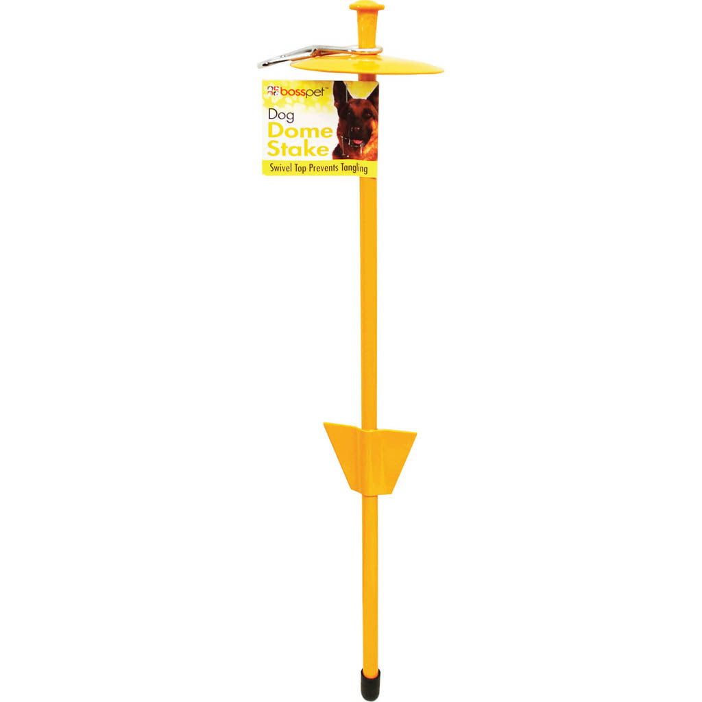 Boss Pet Dome Tie-Out Stake (21 IN)