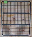 Stall Gate With Hinges No Yoke (BLACK, 52X62 IN)