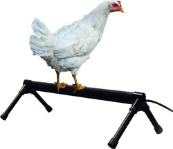 K&H Thermo-Chicken Percher (26 IN-40 WATT)
