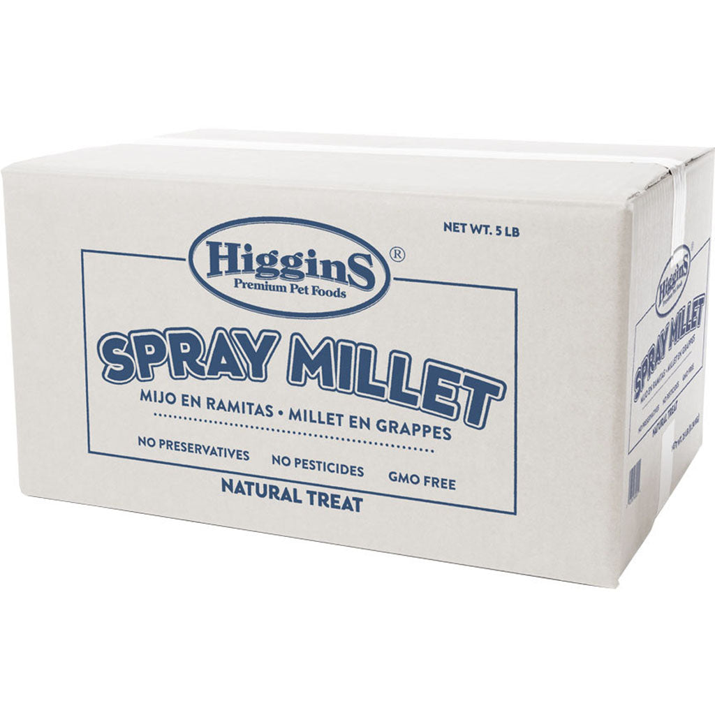 Higgins Spray Millet Natural Avian Treat (5 LB)