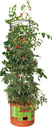 Hydrofarm Heavy Duty Tomato Barrel W/Tower