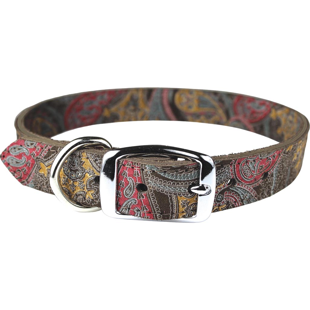 Leather Paisley Dog Collar (CHOCOLATE, 1/2X12IN)