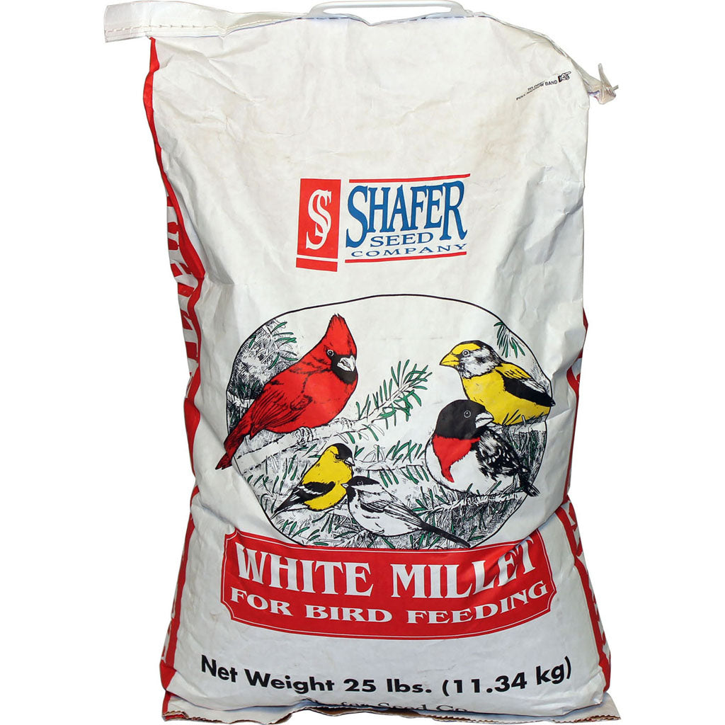 Generic White Millet (25 LB)