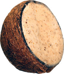 Suet To Go Wild Bird Treats (PEANUT/COCONUT, 10 OZ)