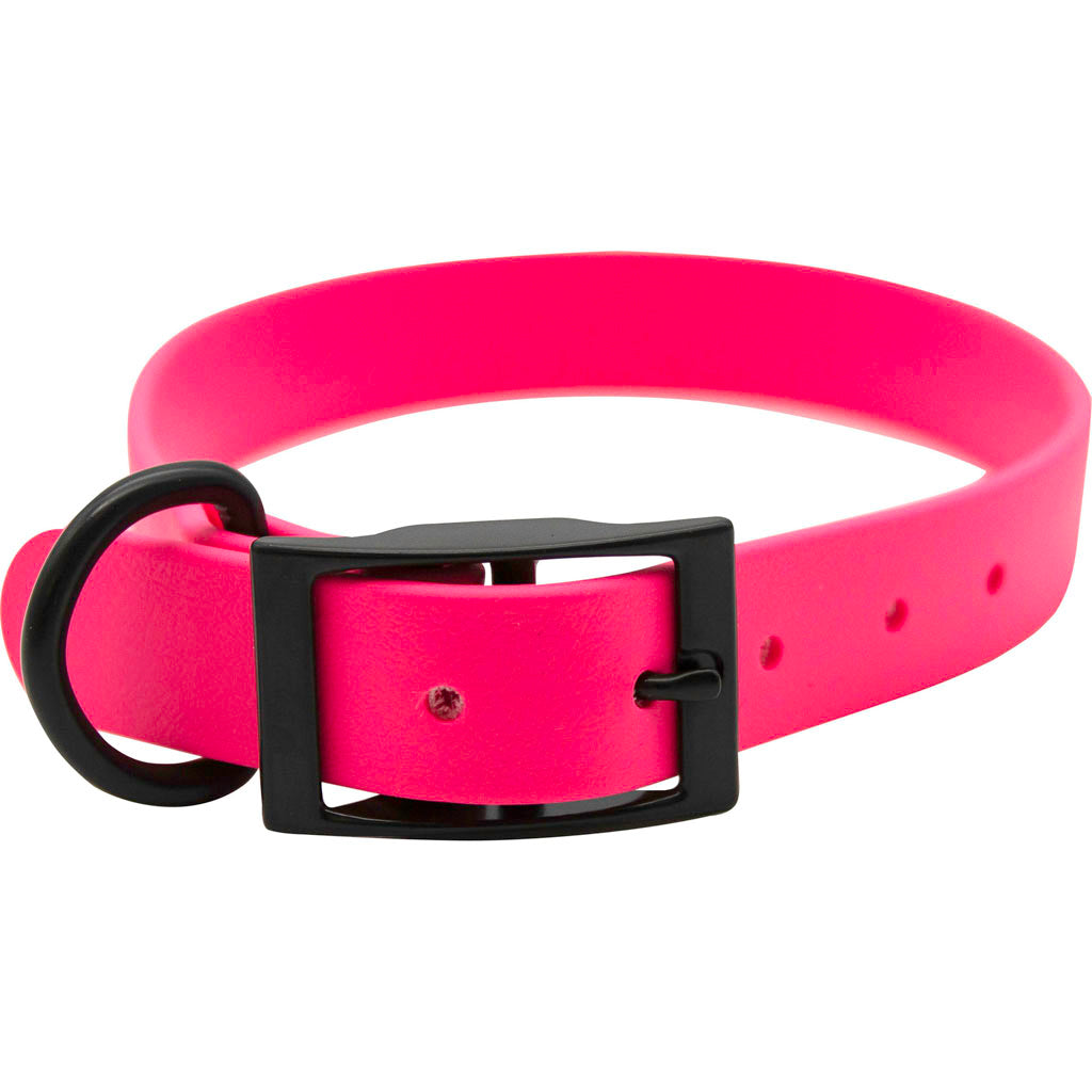 Zeta Biothane Dog Collar W/ Blk Hardware (RUBY, 1 X 24 IN)