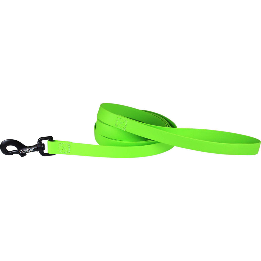 Carnival Biothane Dog Lead (LIME GREEN, 3/4 IN X 6 FT)