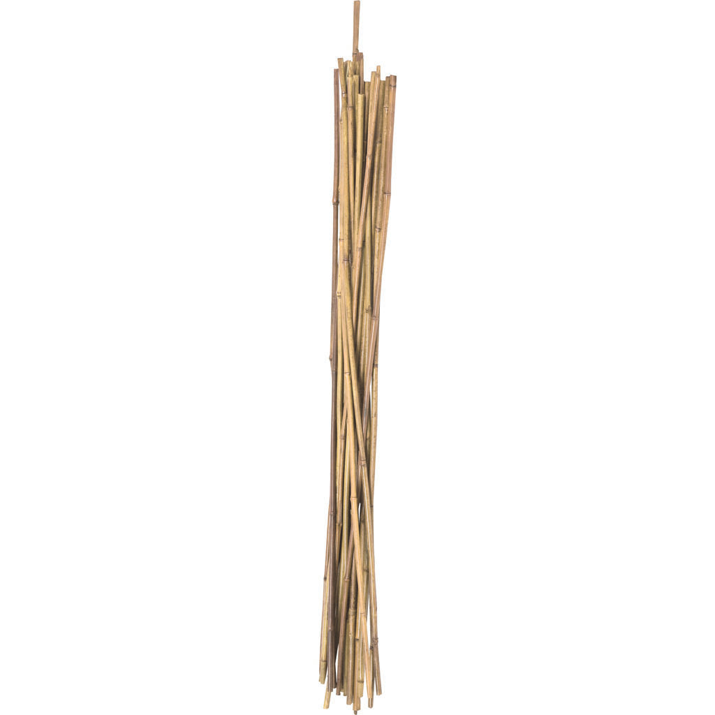 Natural Packaged Bamboo Stakes (3 FT-24 PK)