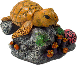 Exotic Environments Sea Turtle (SM)