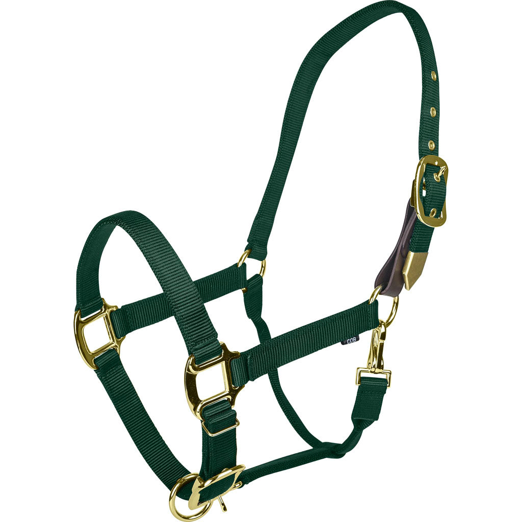 Gatsby Gold Adjustable Safety Breakaway Halter (HUNTER GREEN, COB)