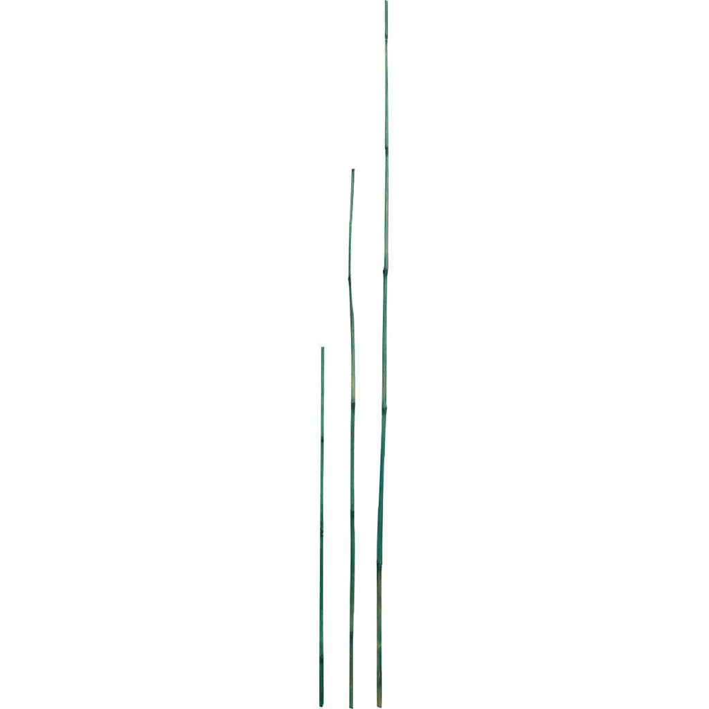 D&D Garden Packaged Bamboo Stakes (GREEN, 4 FT-6 PK)