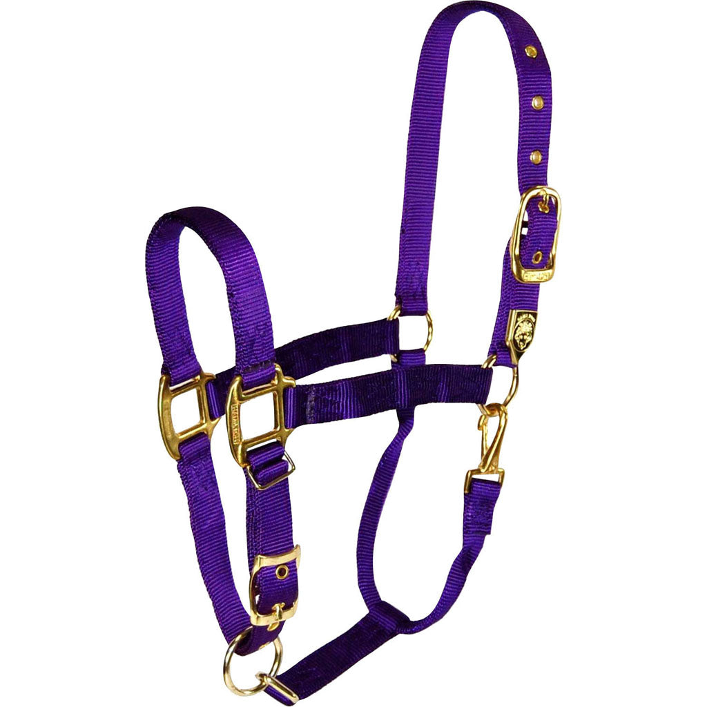 Hamilton Adjustable Chin Halter W/Snap (PURPLE, AVG)