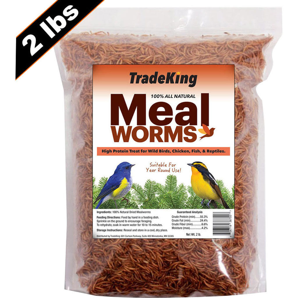 Tradeking Dried Mealworms (2 LB)