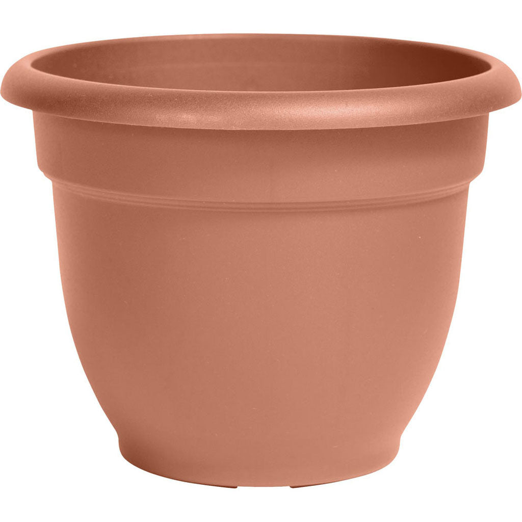 Bloem Ariana Planter (TERRACOTTA, 16 IN)
