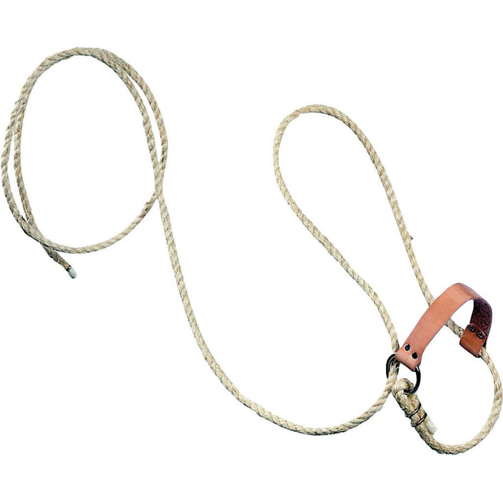 Beiler'S Halter W/Lead And Leather Nose Strap (TAN, CATTLE)