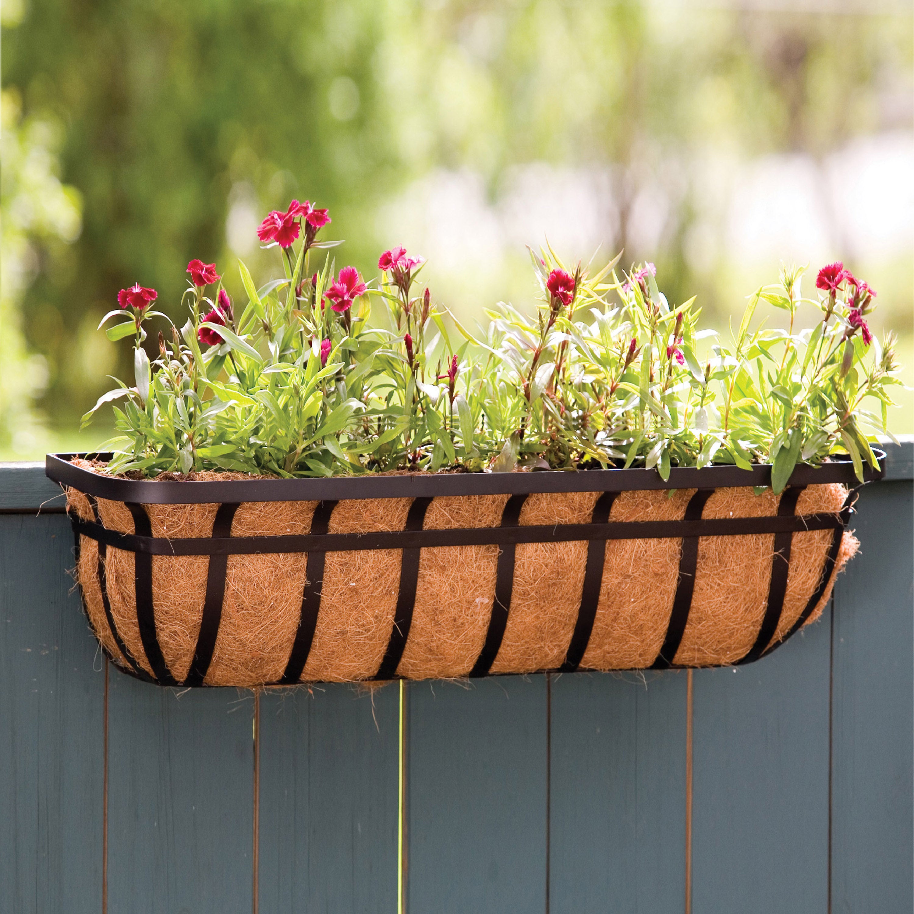 Wide Band Window Planter W/Coco Liner (BLACK, 36 IN)
