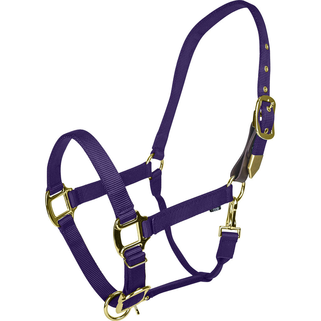 Gatsby Gold Adjustable Safety Breakaway Halter (PURPLE, OVERSIZE)