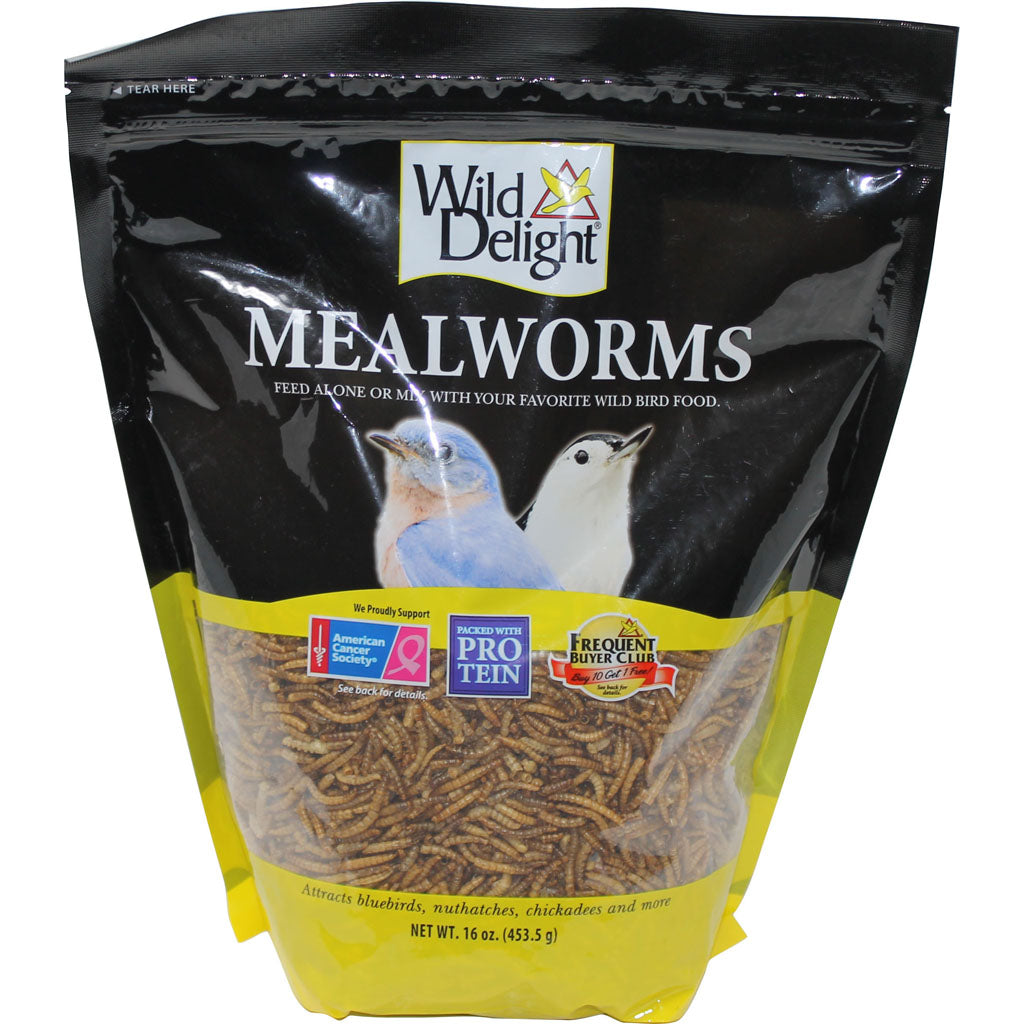 Wild Delight Advanced Mealworms (16 OZ)