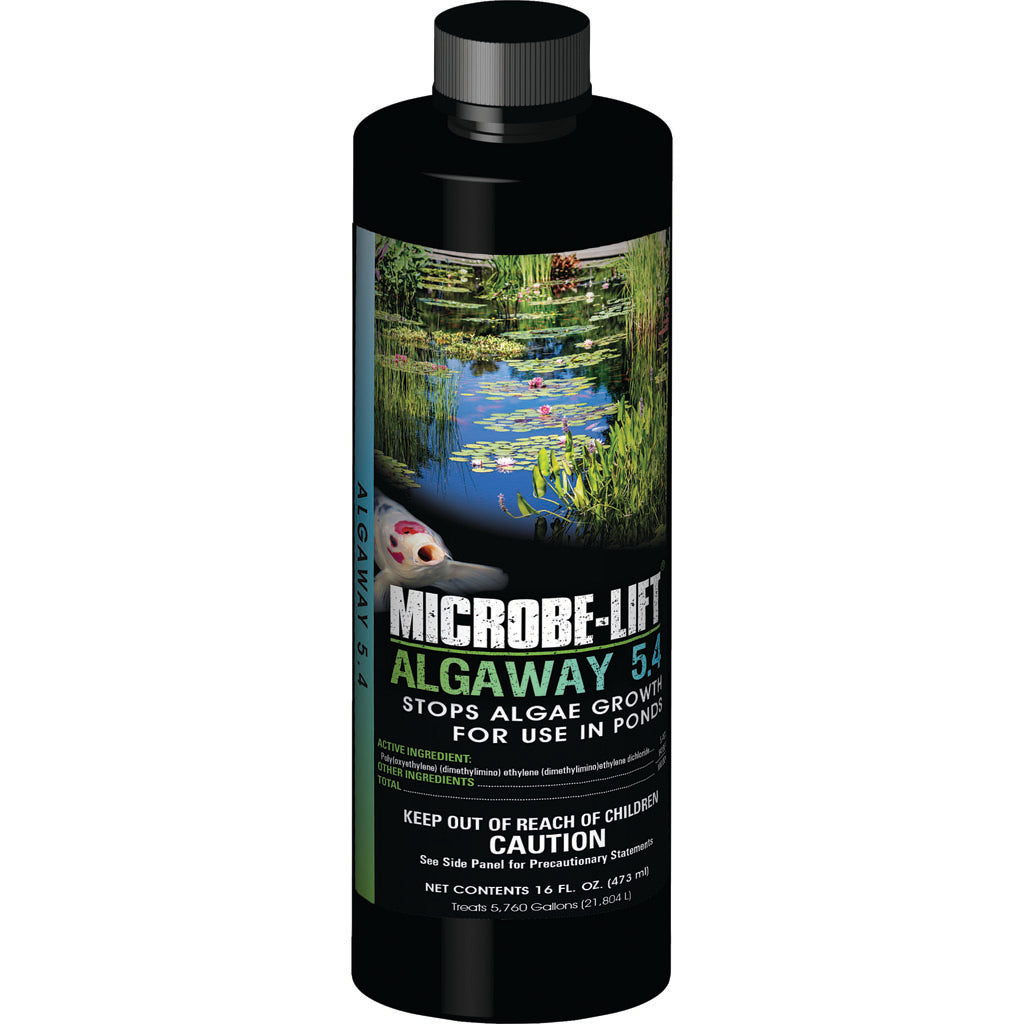Microbe-Lift Algaway 5.4 Algaecide For Ponds (16 OZ)