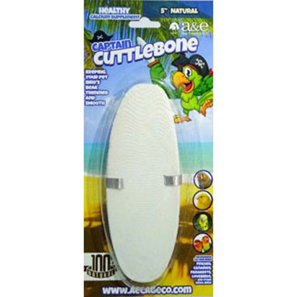 A&E Natural Cuttlebone (5 IN)