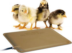 K&H Thermo-Peep Heated Pad (BEIGE, 9X12 IN)