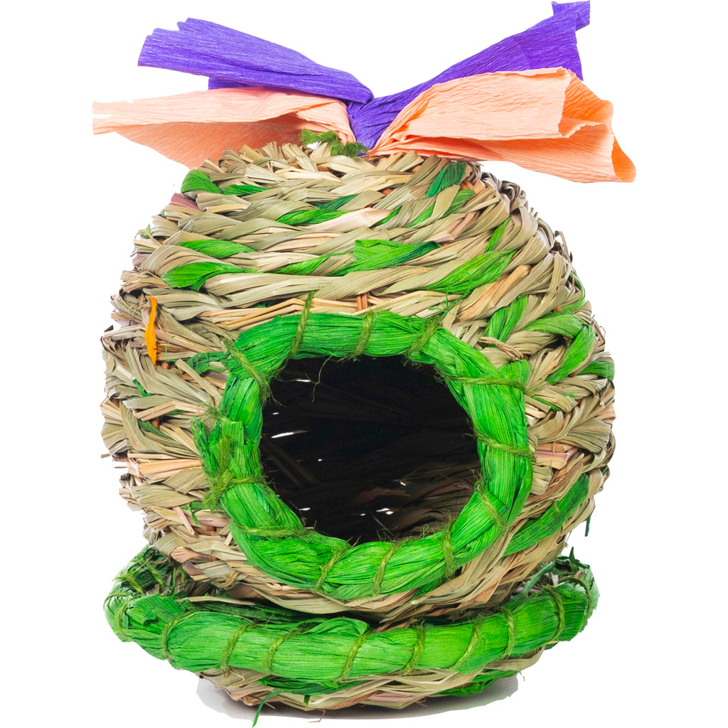 Potted Barrel Cactus Hideaway (5.75X6.75X7 IN)