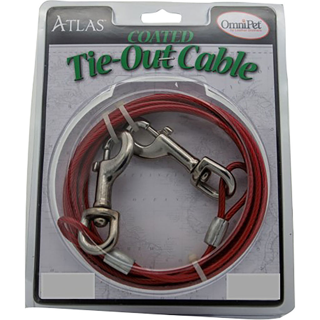 Cable Tie-Out (LG-10 FT) [048465]