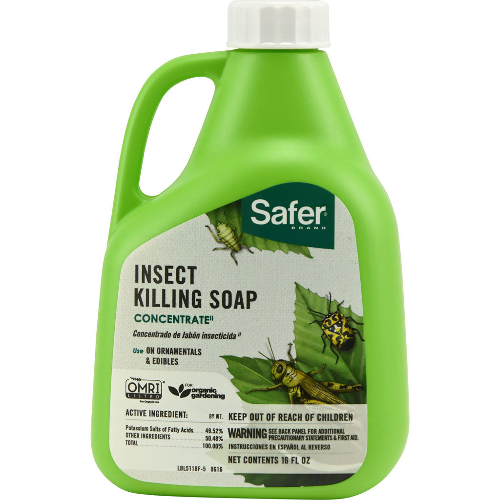 Safer Insect Killing Soap Concentrate (16 OZ)