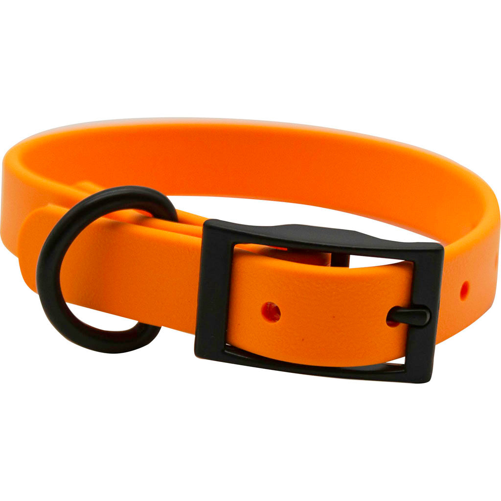Zeta Biothane Dog Collar W/ Blk Hardware (ORANGE, 1 X 26 IN)