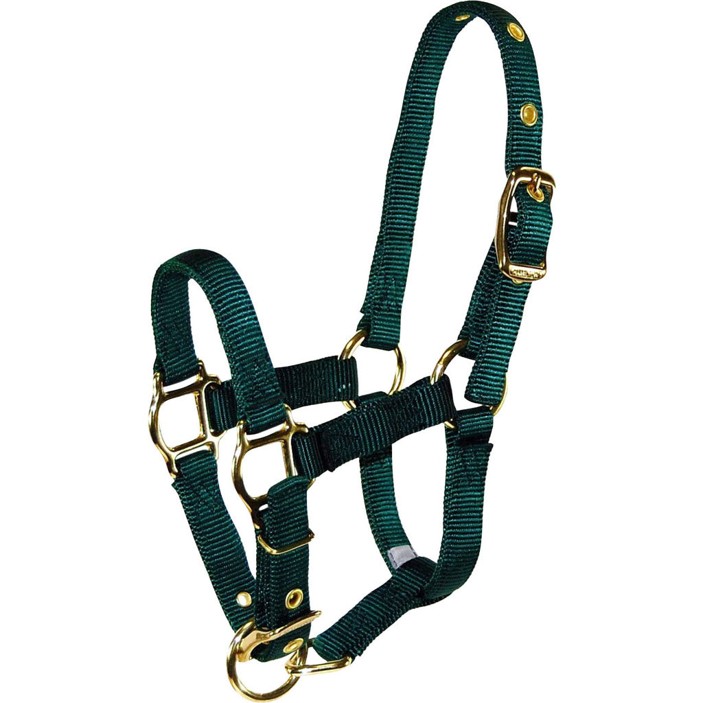 Hamilton Adjustable Miniature Horse Halter (HUNTER GREEN, AVG)