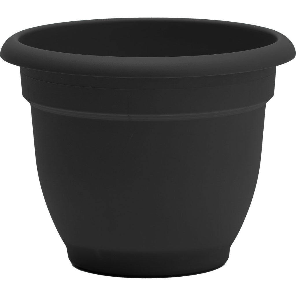 Bloem Ariana Planter (BLACK, 6 IN)