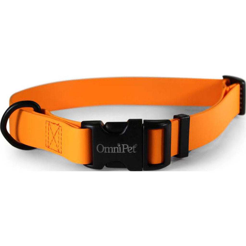 Carnival Biothane Dog Collar (ORANGE, 1 X 18 X 26 IN)