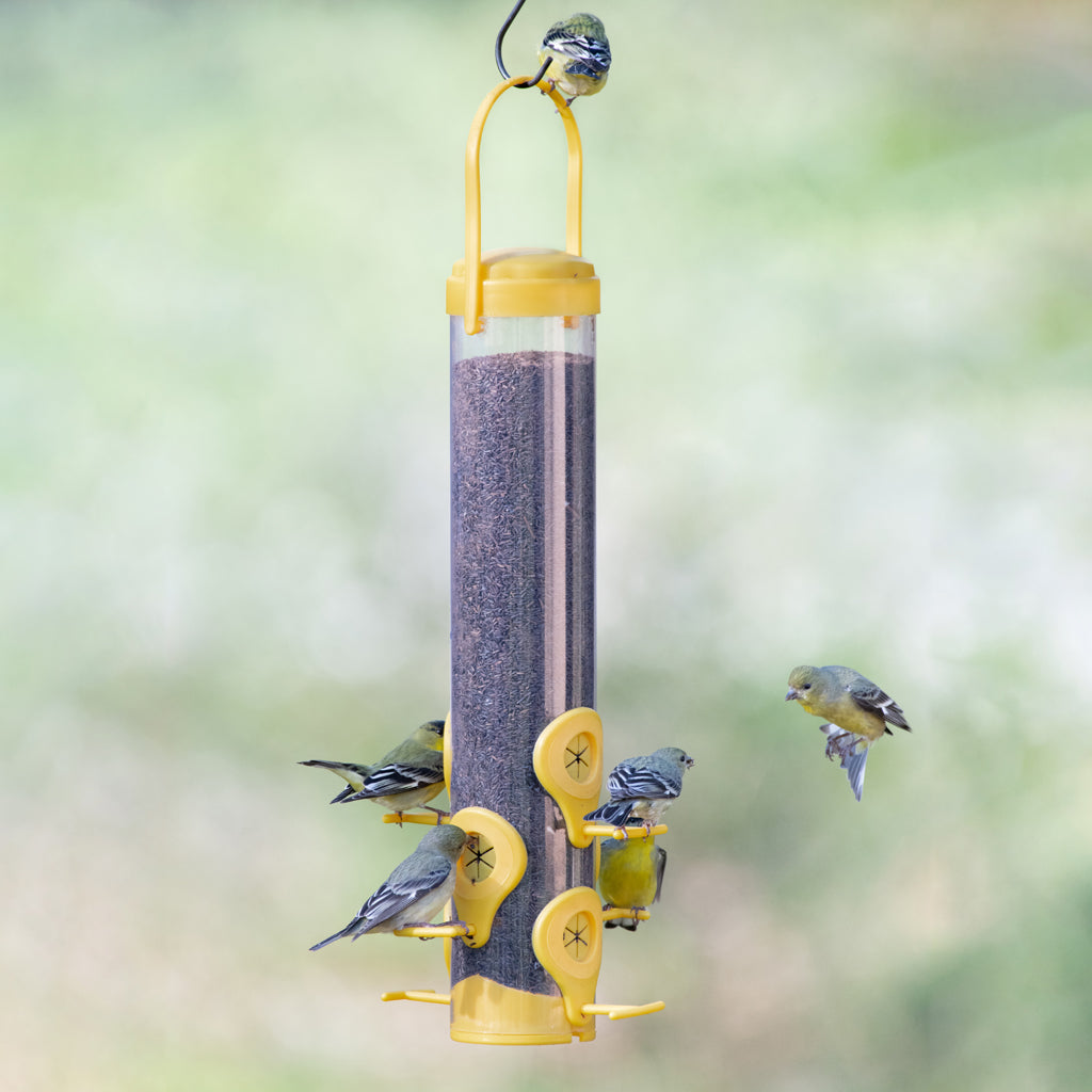 Classic Plastic Finch Feeder (YELLOW, 1 LB CAP)