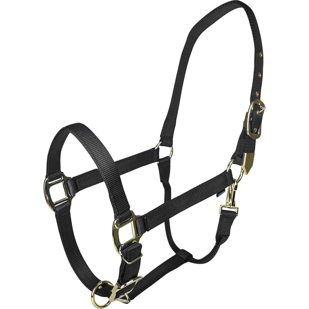 Gatsby Gold Adjustable Halter W/ Snap (BLACK, HORSE)