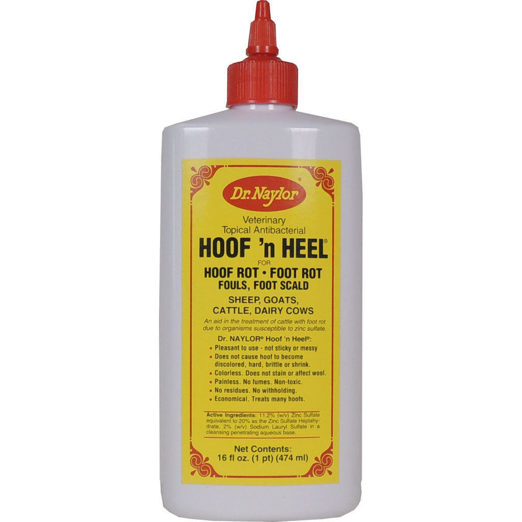 Dr. Naylor Hoof-N-Heel Liquid (16 OZ)