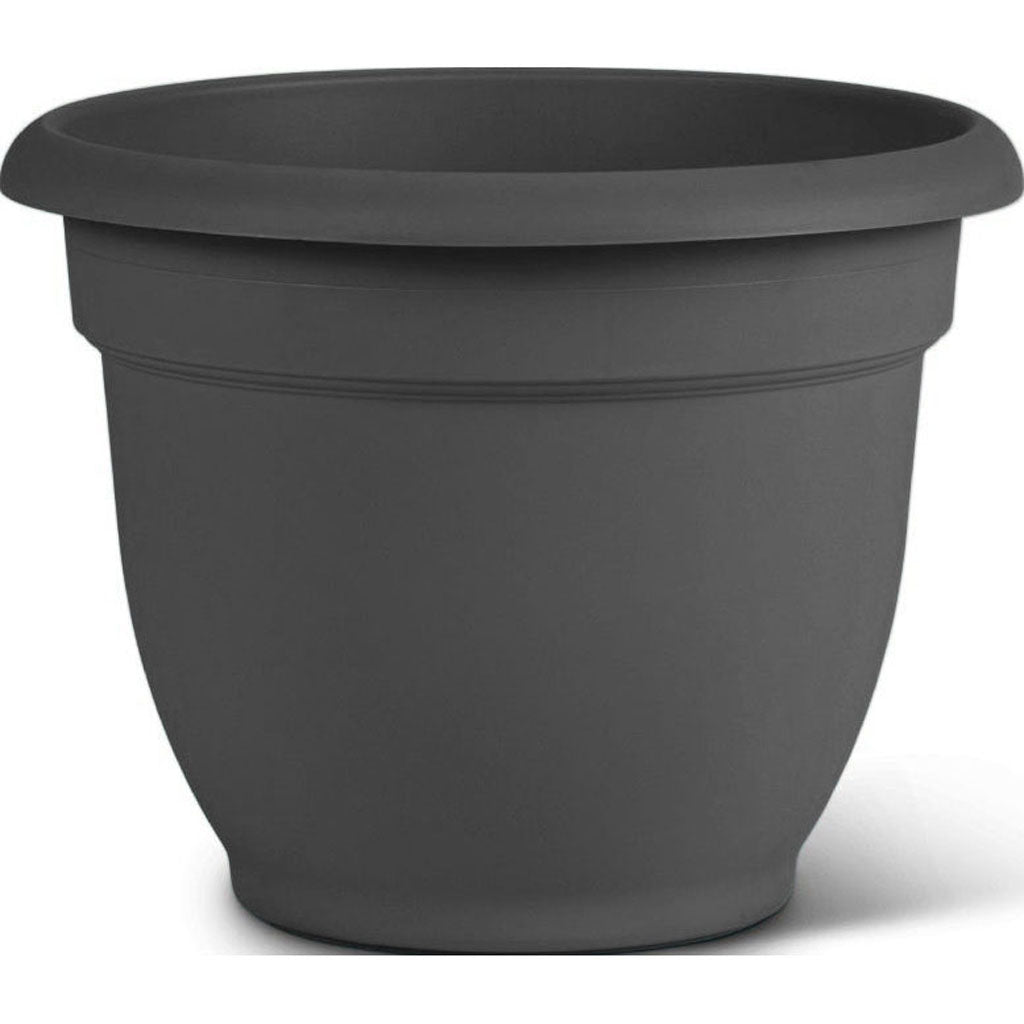 Bloem Ariana Planter (CHARCOAL, 8 IN)