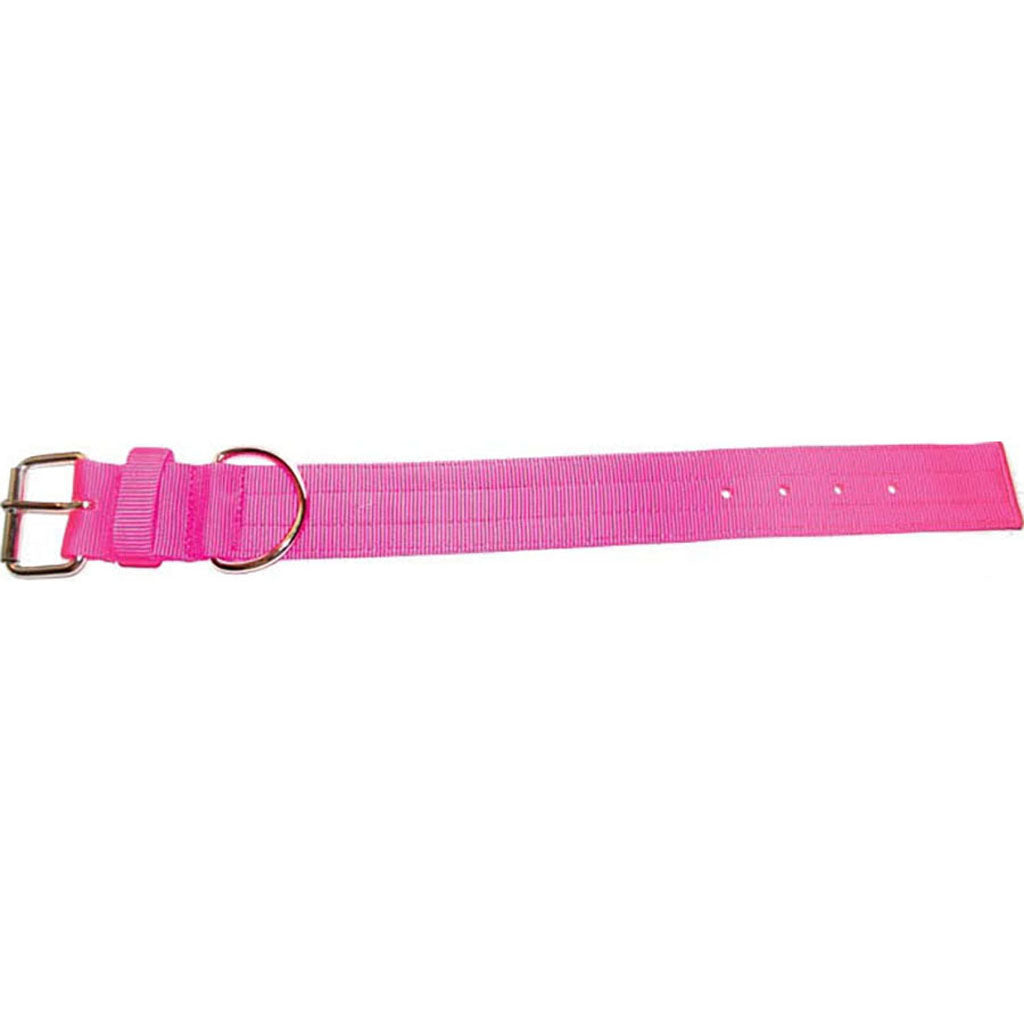 Bravo 2 Ply Nylon Dog Collar (NEON PINK, 2 X 27 IN)