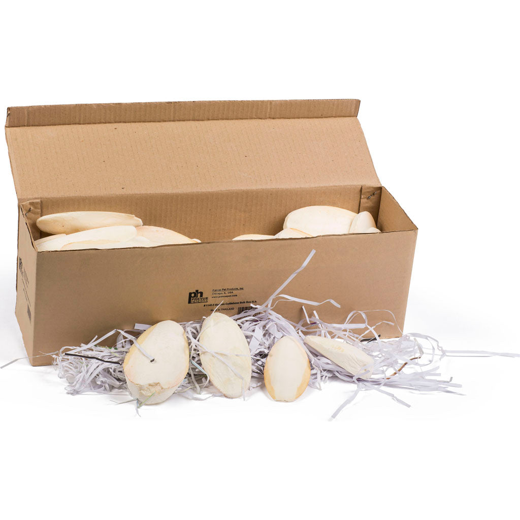 Birdie Basics Cuttlebone (5 LB BULK)