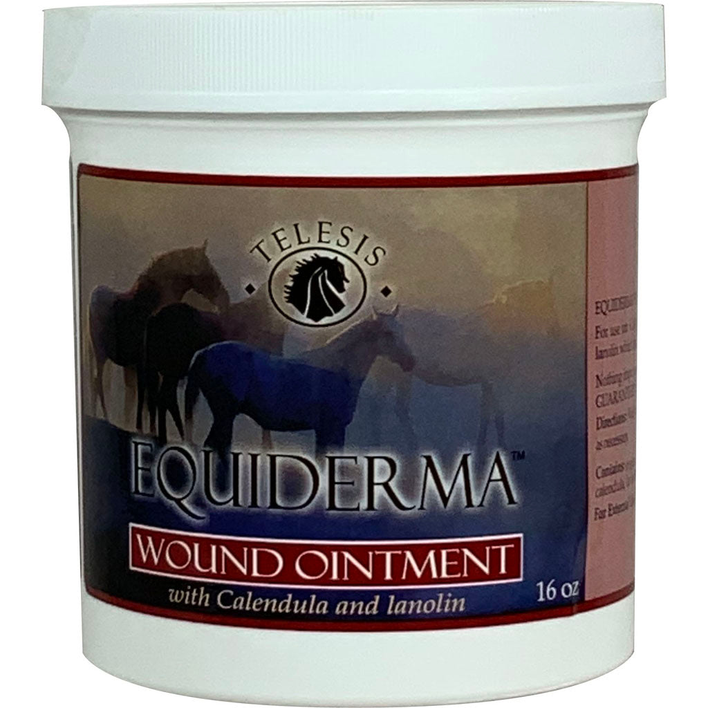 Equiderma Wound Ointment W/Calendula & Neem (16 OZ)