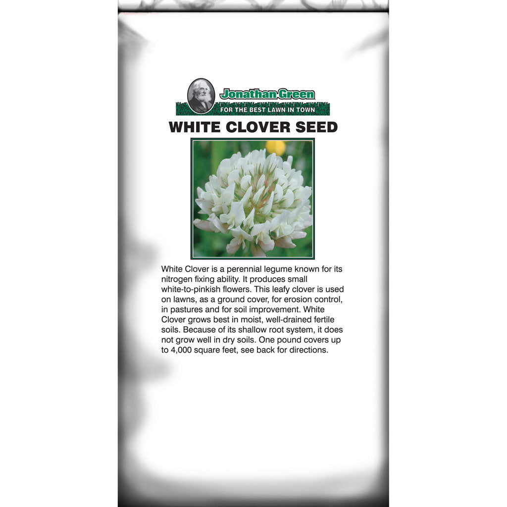 White Clover Seed (1 LB)