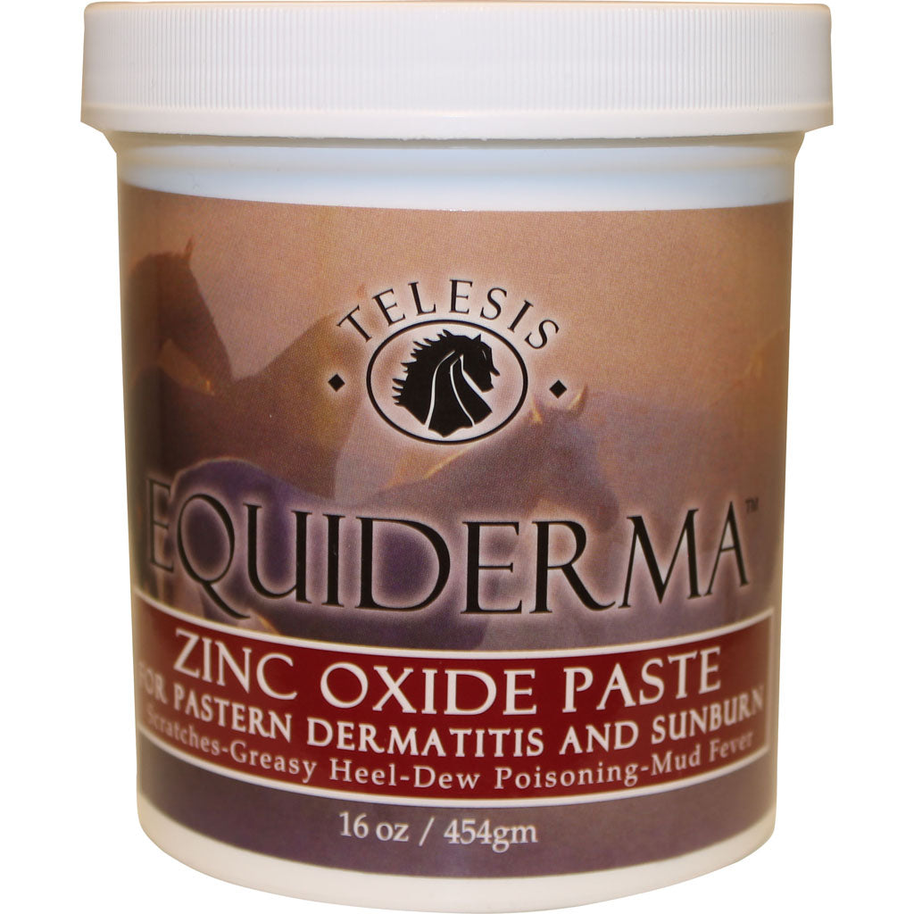 Equiderma Zinc Oxide Paste For Dermatitis & Sunbrn (16 OZ)