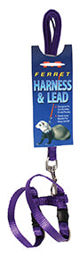 Marshall Ferret Harness And Lead (PURPLE, 48 IN)