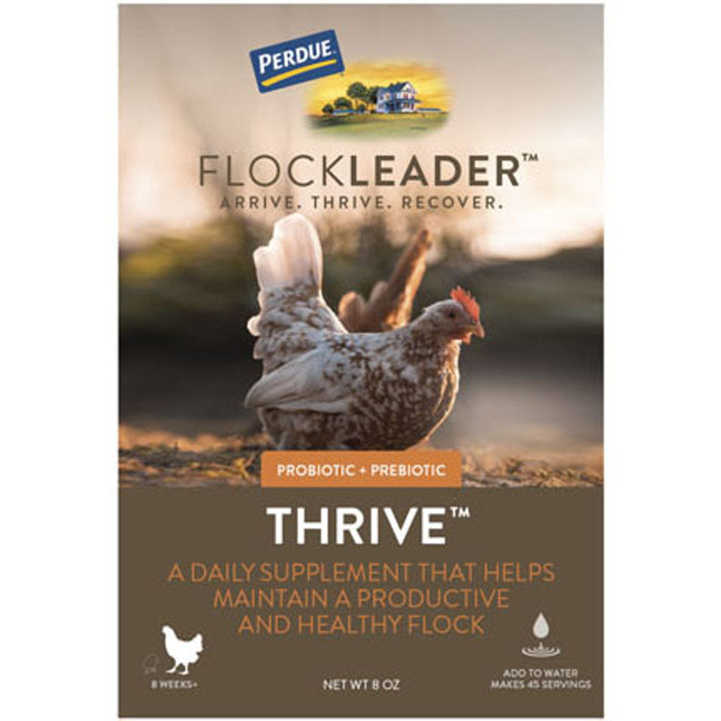 Perdue Flockleader Thrive Poultry Supplement (POWDER, 8 OZ)