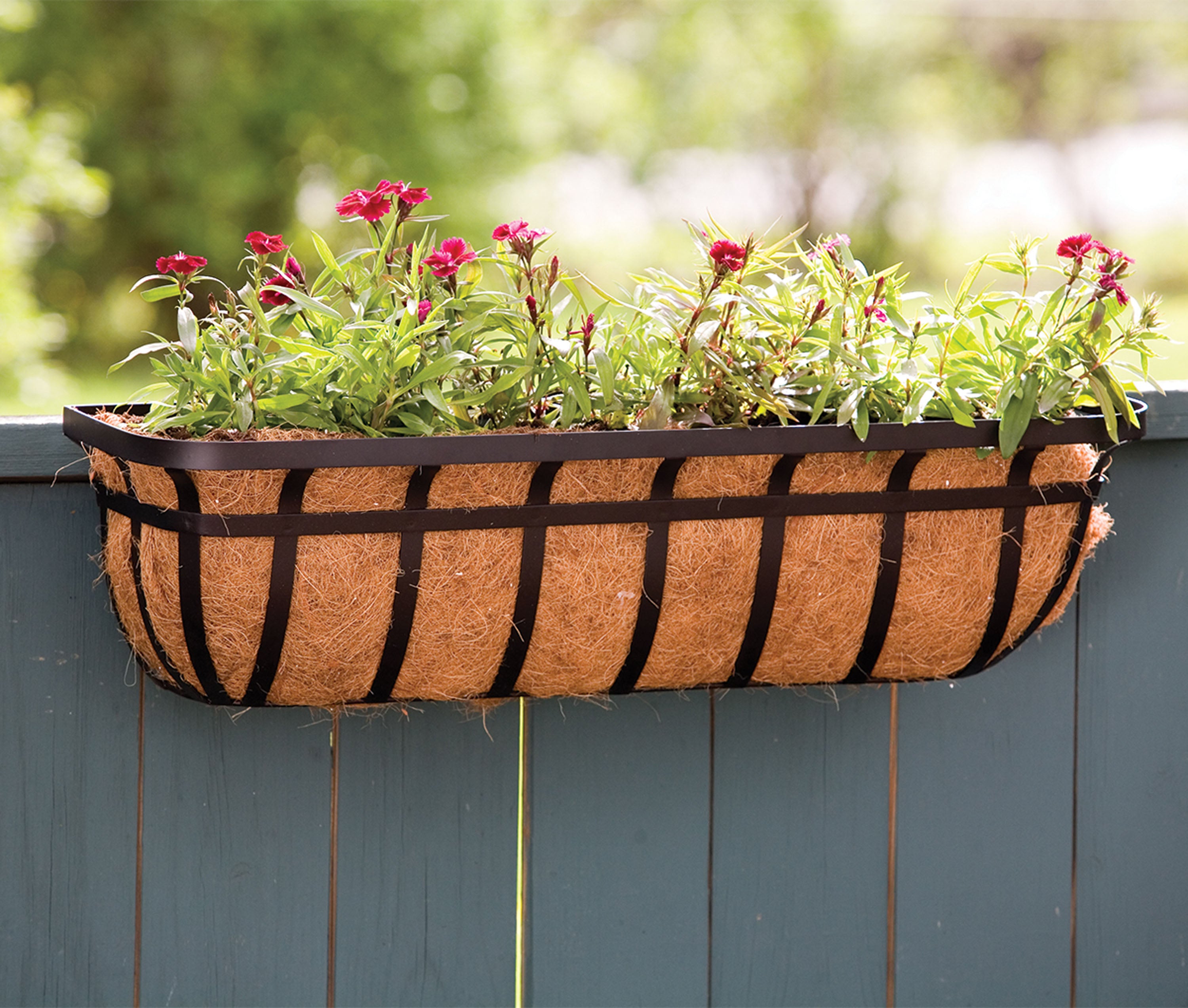 Wide Band Window Planter W/Coco Liner (BLACK, 30 IN)
