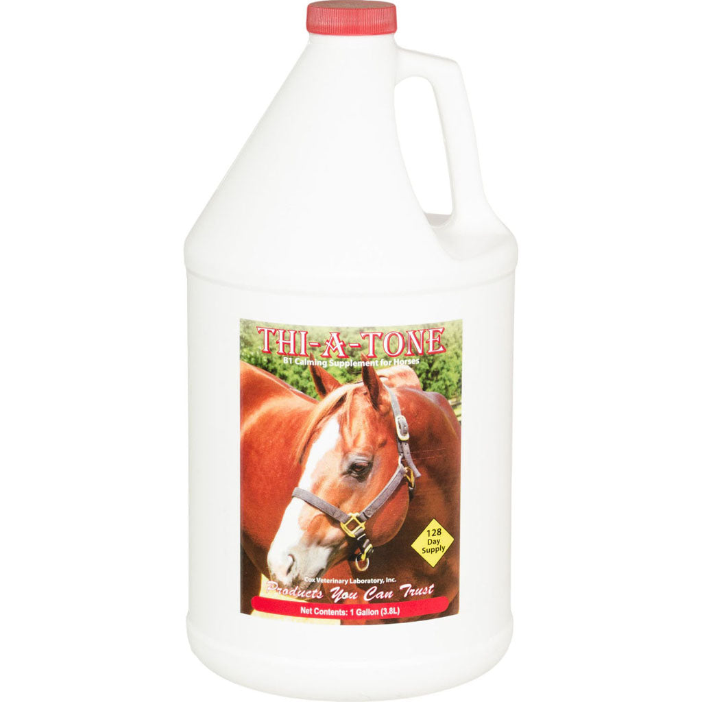 Cox Thi-A-Tone B1 Calming Supplement (CHERRY, 1 GAL)