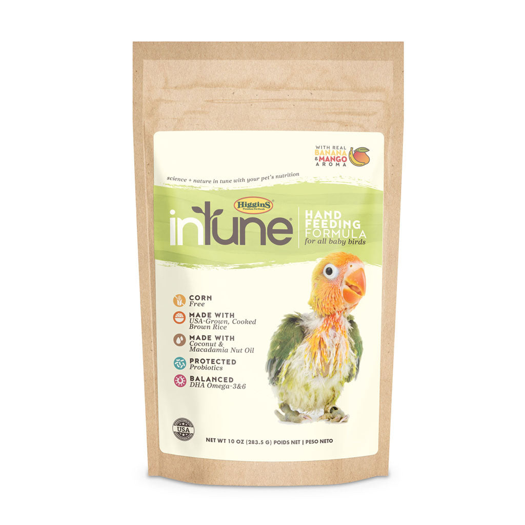 Intune Hand Feed Formula All Baby Birds (10 OZ)